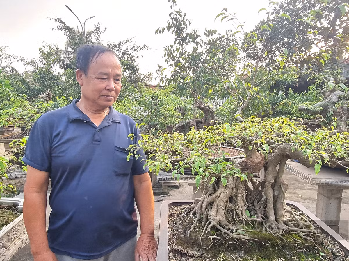 Cach tan 2 cay sanh co thu thanh cong nha dep nhu phim-Hinh-11