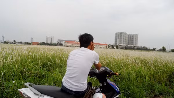 Nhiều người tan làm vẫn thường ra cánh đồng này ngồi hóng gió, ngắm mây, trời, cỏ đất... Khi đó, mọi mệt mỏi của một ngày mưu sinh dường như tan biến hết.