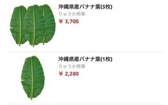 Loại lá gói xôi, bánh ở Việt Nam, được bán 500.000 đồng/lá trên Amazon, eBay - Hình 3 Loai la goi xoi, banh o Viet Nam, duoc ban 500.000 dong/la tren Amazon, eBay-Hinh-3