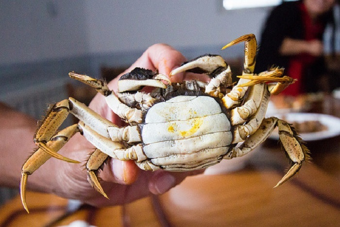 Loai cua 'quy toc' tu Trung Quoc dang do ve cho Viet-Hinh-8