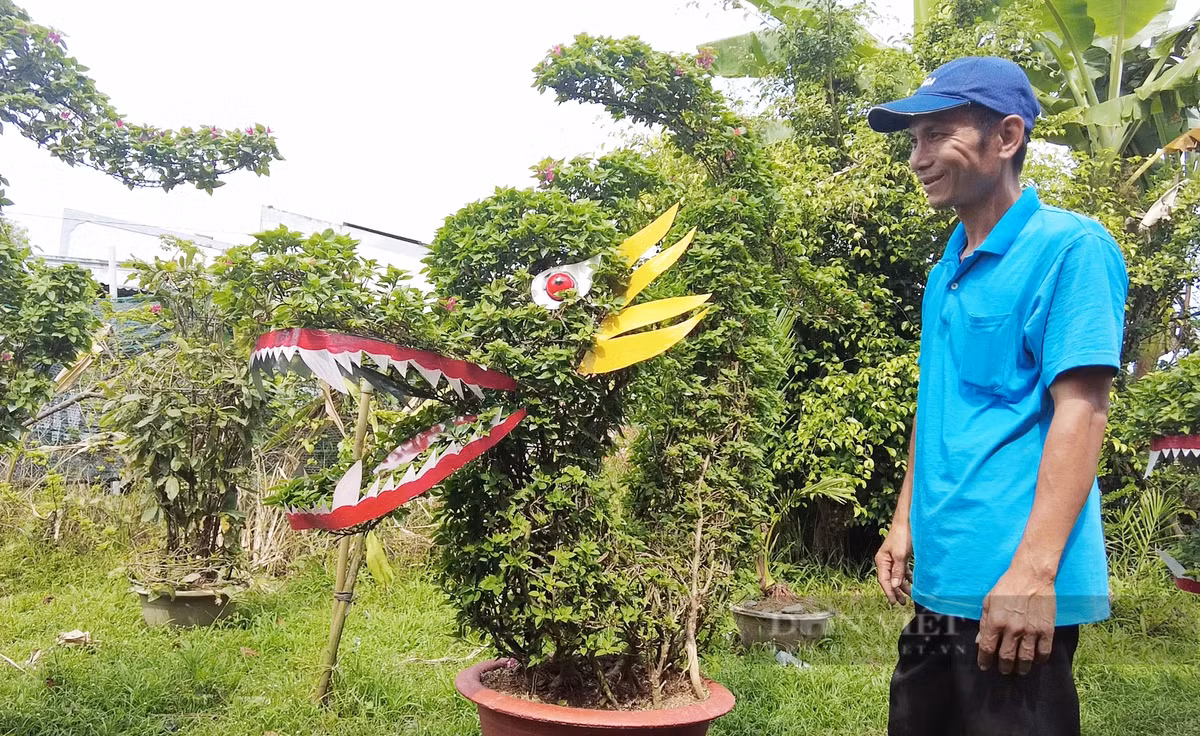 Ngam “dau rong duoi ca” duoc tao tu nhung chau hoa giay-Hinh-2