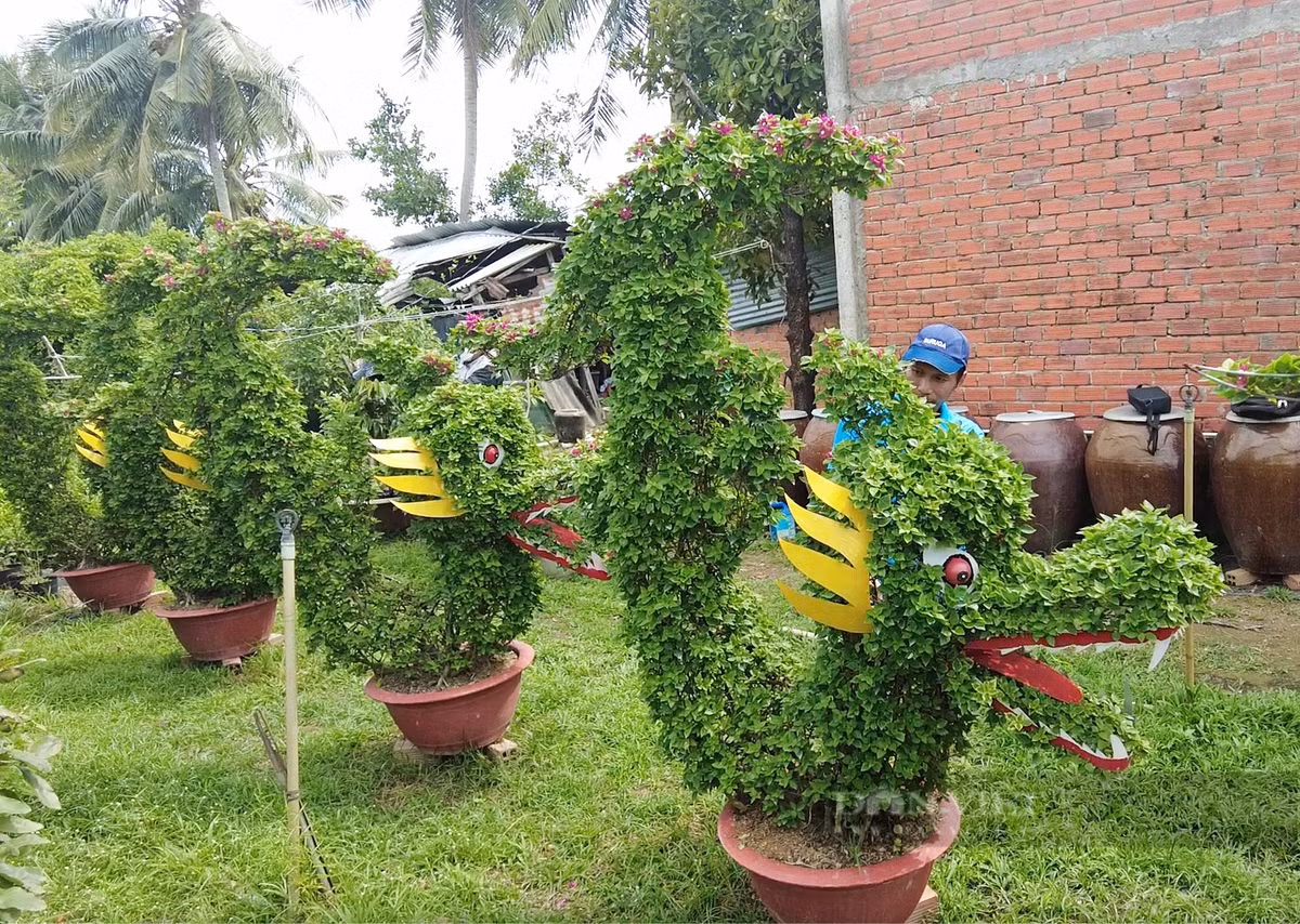 Ngam “dau rong duoi ca” duoc tao tu nhung chau hoa giay