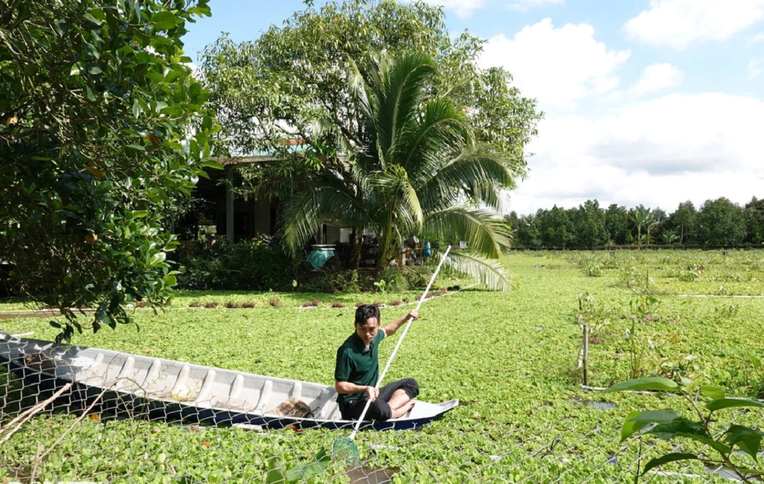 Anh nong dan nuoi con quen thuoc, kiem gan 200 trieu/thang