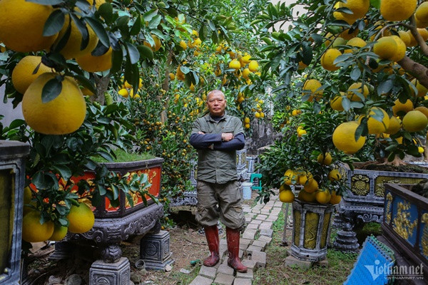 ng Nguyễn Kim Thắng (Hoài Đức, Hà Nội) bén duyên với nghề trồng cây cảnh đã hơn 2 thập kỷ. Năm nào cũng vậy, trước Tết Nguyên đán từ 1-2 tháng, người nông dân đã sớm cung ứng ra thị trường những sản phẩm độc đáo, hút khách.