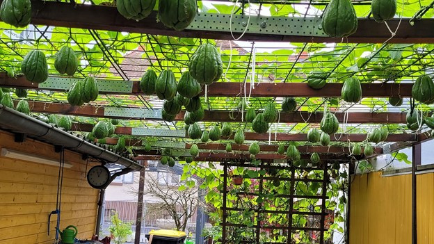 Cuoc song tai Duc cua Thanh Ha - ngoi sao Youtube sang gia-Hinh-2