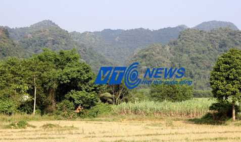 Ky 2: “Than ho xam o Thanh Hoa“: Phat sung chi mang va su tra thu cua ho xam-Hinh-2