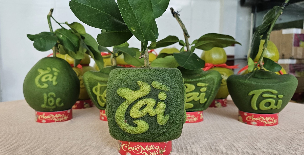 Đến nay, trên 70% sản phẩm bưởi tạo hình được doanh nghiệp đặt mua để xuất sang thị trường nước ngoài.