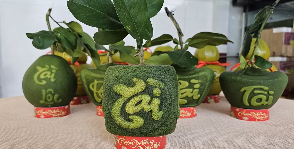 Đến nay, trên 70% sản phẩm bưởi tạo hình được doanh nghiệp đặt mua để xuất sang thị trường nước ngoài.