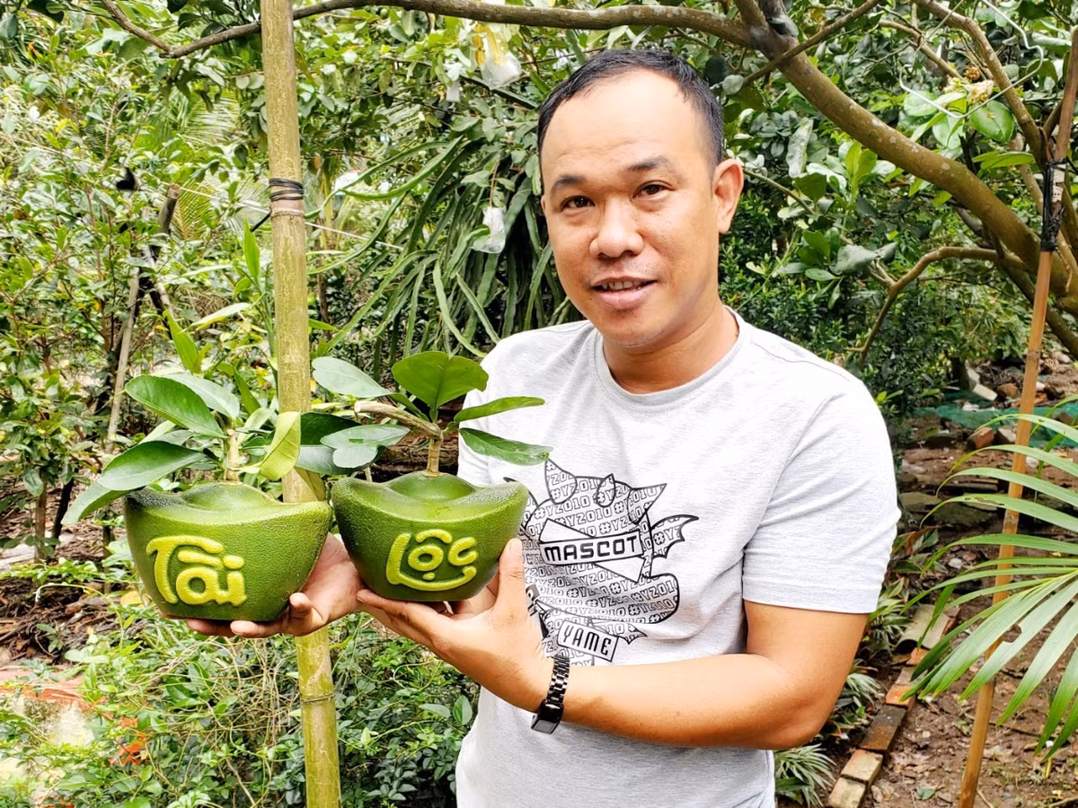 Năm nay, anh Tâm cung ứng thị trường Tết khoảng 2.000 trái dừa tạo hình hồ lô, phúc – lộc – thọ, tài - lộc và 1.500 trái bưởi tạo hình hồ lô, thỏi vàng, hoa mai, đồng tiền.