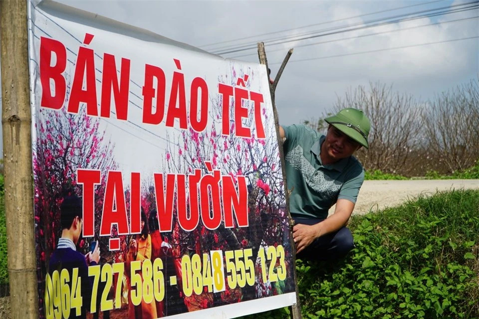 Anh Đầu Khắc Quân, chủ nhân một vườn đào lâu năm tại đây chia sẻ: Trước đây người dân thường trồng một vài gốc trong vườn nhà rồi đem bán vào mỗi dịp tết. Nhưng khoảng 5, 7 năm trở lại đây, giống đào Quảng Chính được nhiều người ưa chuộng nên nhiều hộ đã mạnh dạn thuê đất trồng với số lượng lớn. Nhờ đào mà thu nhập của người dân nơi đây được cải thiện, nhiều hộ trở nên khá giả. Hiện tại diện tích trồng đào trong xã ngày càng được mở rộng…