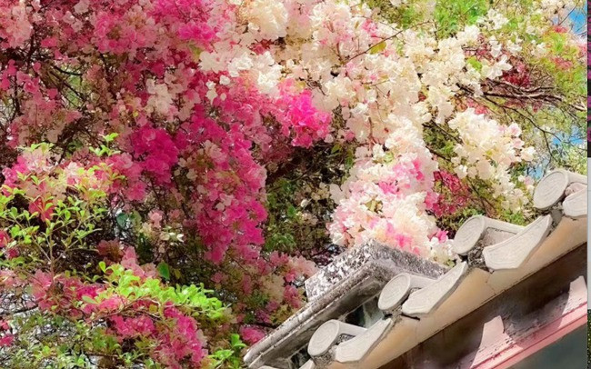 Dự đoán may mắn, tài lộc của 12 con giáp trong năm Giáp Thìn 2024 - Hình 5 Du doan may man, tai loc cua 12 con giap trong nam Giap Thin 2024-Hinh-5