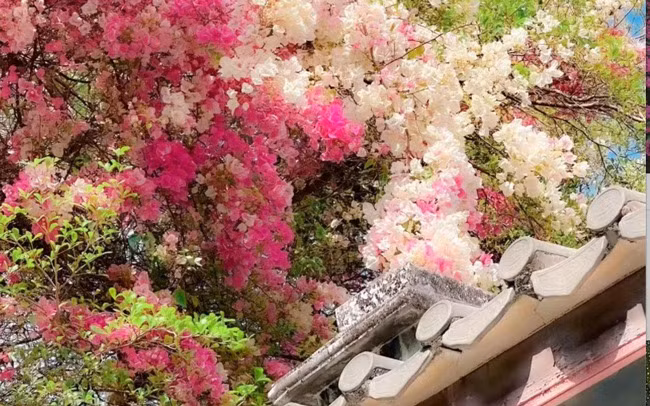 Dự đoán may mắn, tài lộc của 12 con giáp trong năm Giáp Thìn 2024 - Hình 5 Du doan may man, tai loc cua 12 con giap trong nam Giap Thin 2024-Hinh-5