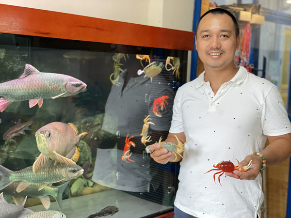 Loai cua nuoi chi de ngam, gia len den tram nghin/con, chu cua hang ban 2.000 con/thang