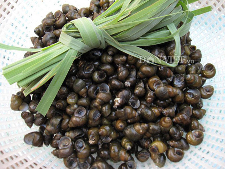 Dac san hiem duoc vi nhu “loc troi” o mien Tay, bat ban kiem tien trieu/ngay