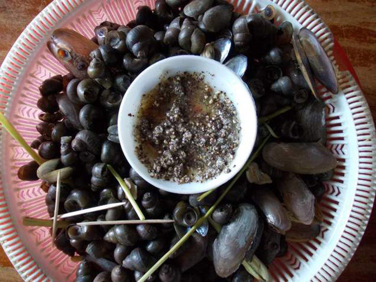 Mấy năm nay, ốc đắng được ưa chuộng, nhiều người tìm mua về thưởng thức