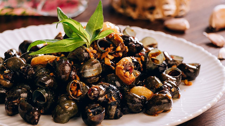 Từ ốc đắng có thể làm thành nhiều món ngon như: ốc chấm mẻ, ốc đắng kho sả ớt, ốc đắng kho dừa, gỏi ốc đắng trộn bắp chuối