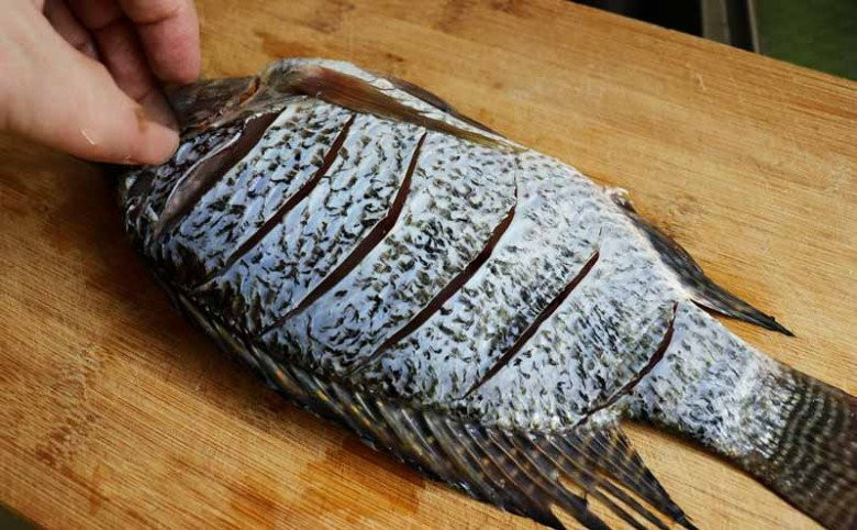 Meo ran ca vang gion, thom phuc, khong dinh nat-Hinh-3