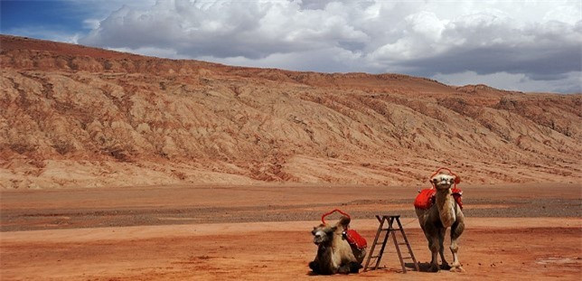 Hoa Diem Son co thuc ngoai doi: Chay am i suot 100 nam-Hinh-3