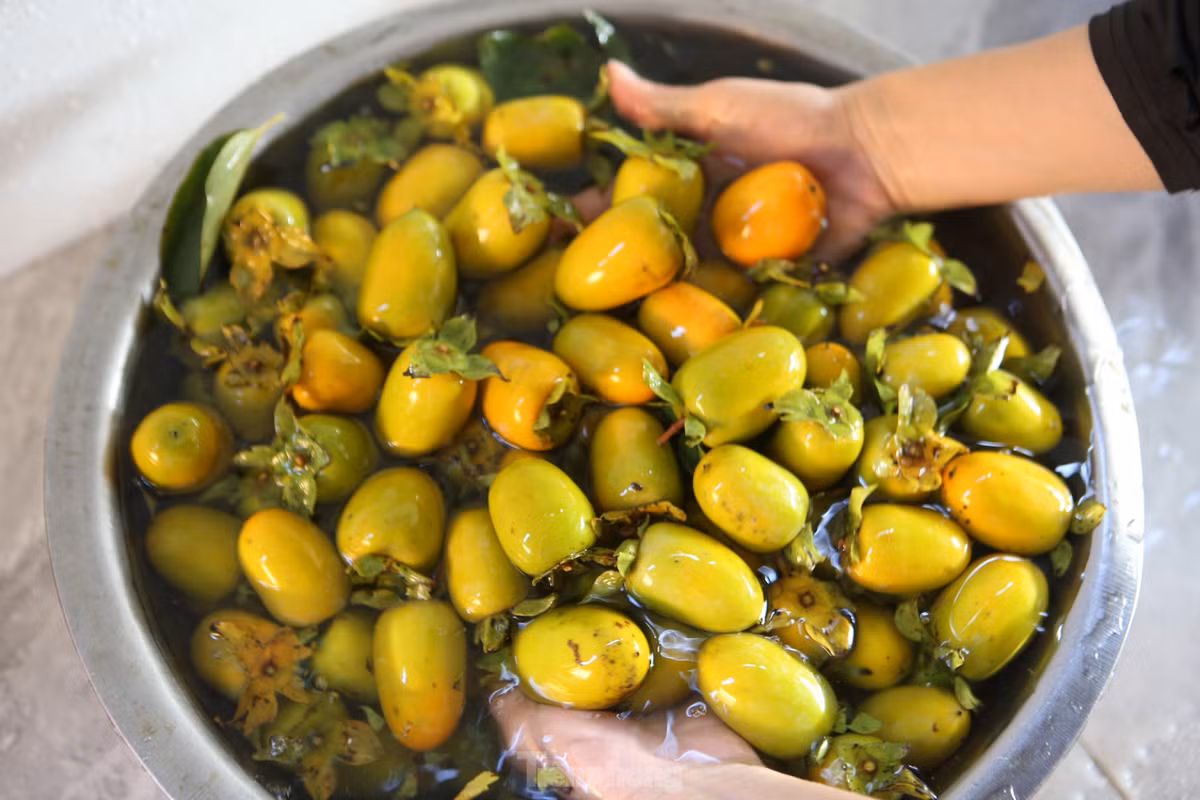 Quả hồng khi hái ở trên cây còn có vị chát. Để ăn được, sau khi hái xong họ ngâm 2 ngày một đêm với nước lạnh để loại bỏ chất mủ nhựa bên trong quả. Hồng khi chín có những quả bên ngoài còn màu xanh, nhưng ruột bên trong khi cắt ra sẽ có màu đỏ cam cùng những hạt trắng như bột mang lại vị ngọt, thơm đặc trưng.