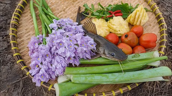 La lung rau dai moc day ao, ben Nhat coi la sieu thuc pham-Hinh-3