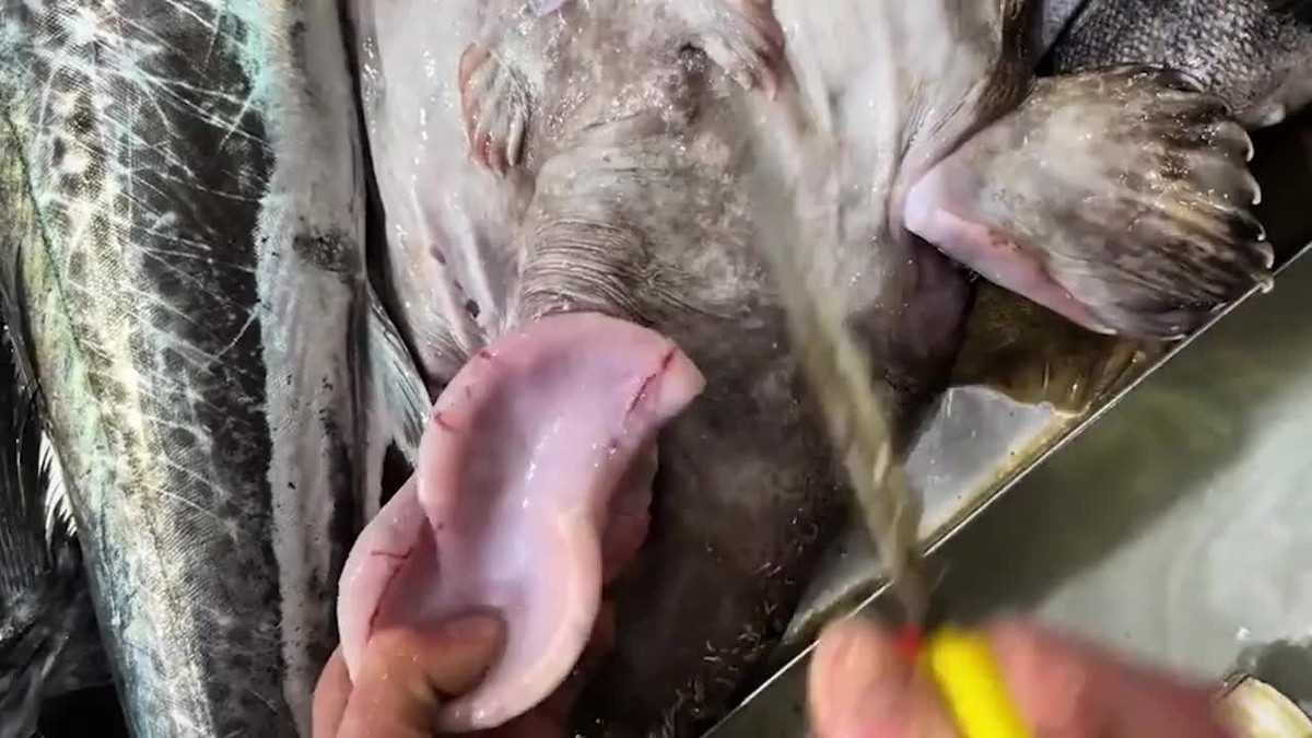 Video: Ra cho mua ca, nguoi dan ong quay clip vi canh tuong la