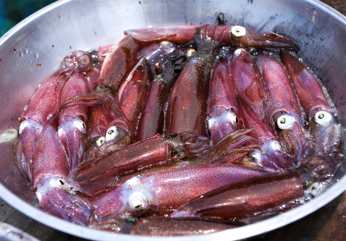 Những con mực tươi được vớt lên bờ để cân và đưa vào chế biến cho khách. Mặc dù giá mực Vũng Áng hiện nay khá cao, dao động từ 650.000 - 800.000 đồng/kg. Ngày lễ có lúc giá lên hơn 1,2 triệu đồng/kg nhưng món ăn đặc sản này lại thu hút khách, có lúc không đủ mực để bán.