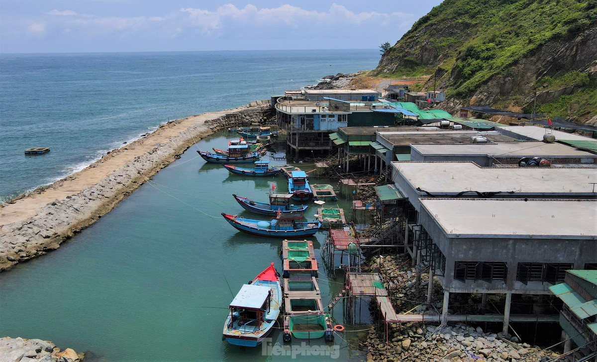 Khu ẩm thực mực nháy Vũng Áng (xã Kỳ Lợi, thị xã Kỳ Anh, Hà Tĩnh) có gần 20 bè nổi kinh doanh mực nháy. Lượng khách tập trung về đây ăn uống rất đông, để thưởng thức đặc sản miền biển.