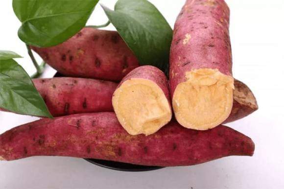 Dieu cam ky khi an khoai lang-Hinh-5