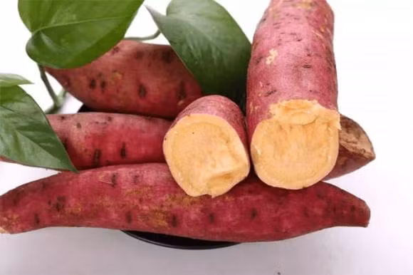 Dieu cam ky khi an khoai lang-Hinh-5