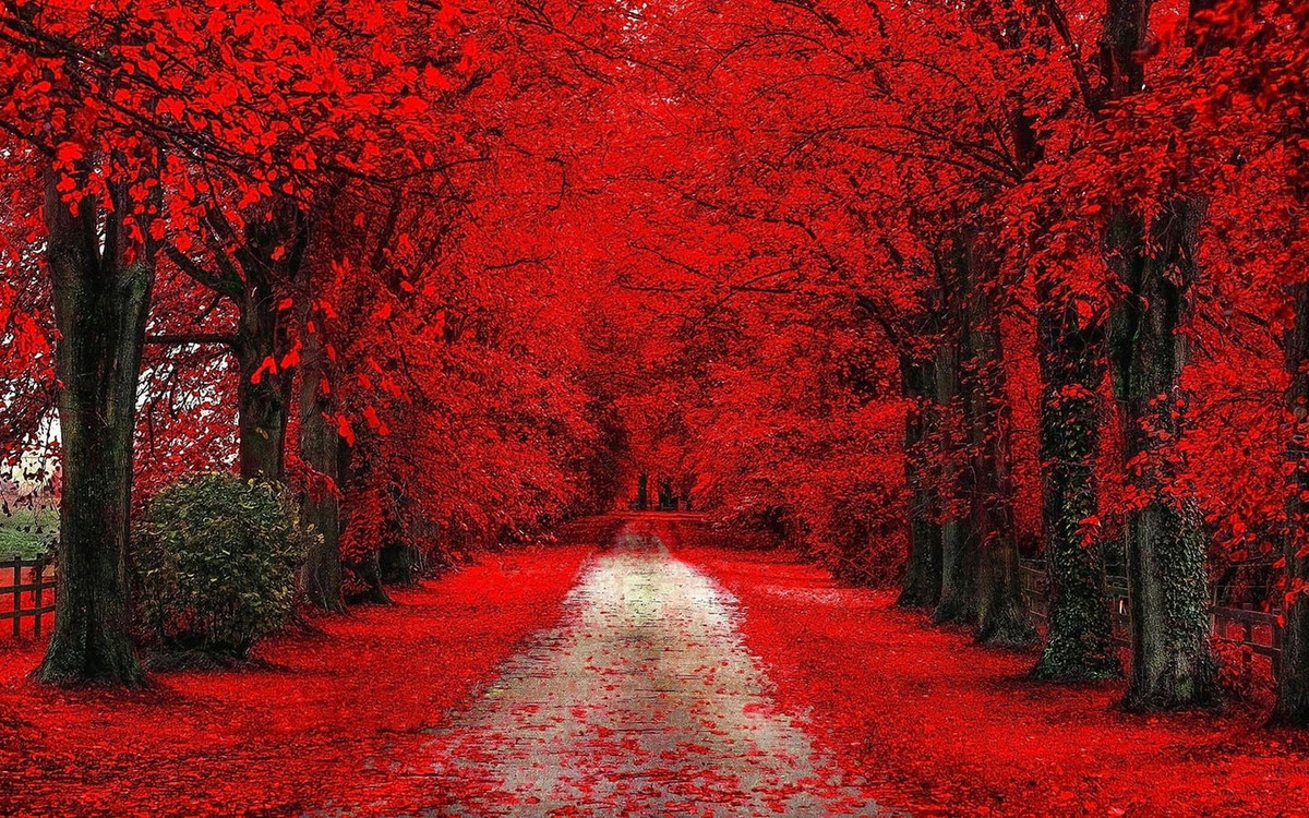 Thang 8 Am lich, 3 con giap dot pha thanh cong, nhe ganh ap luc-Hinh-3