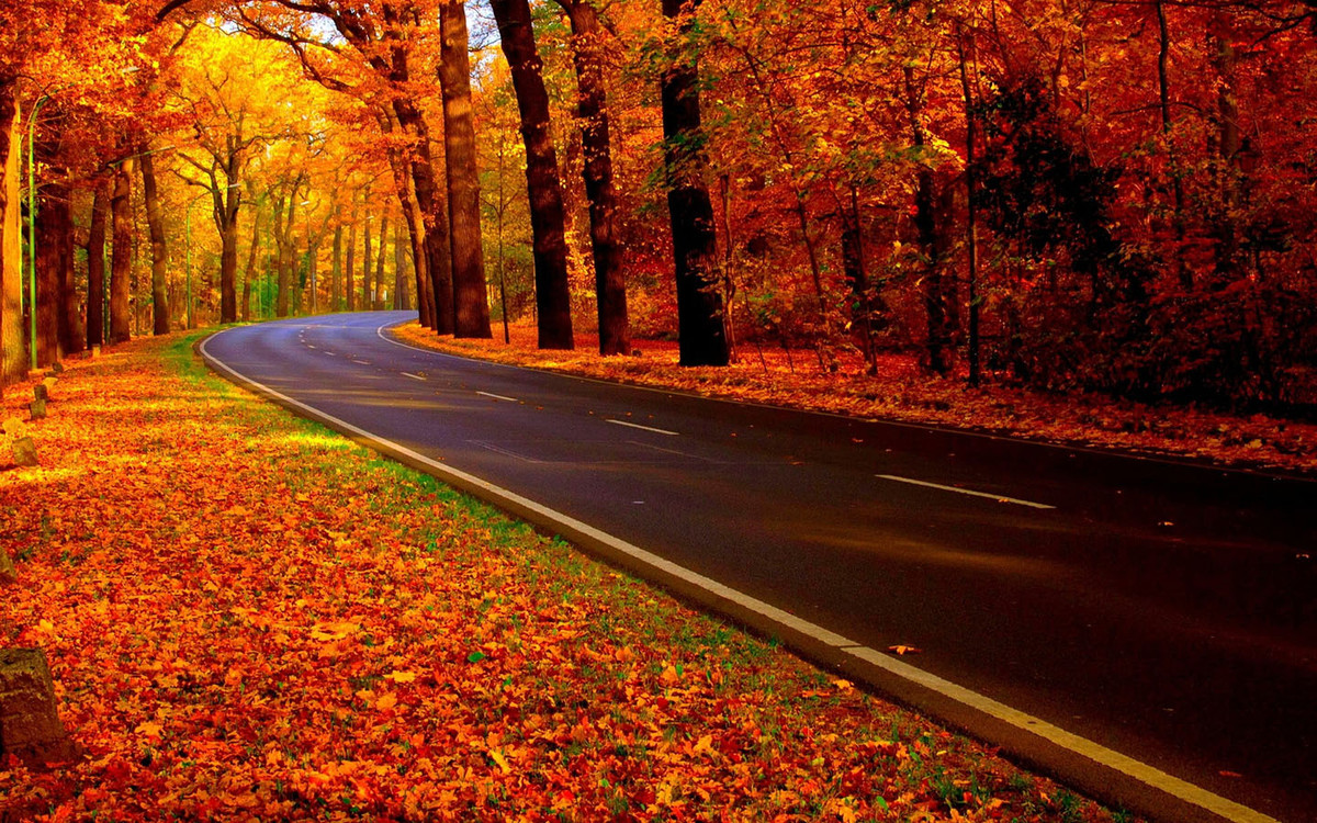 Thang 8 Am lich, 3 con giap dot pha thanh cong, nhe ganh ap luc