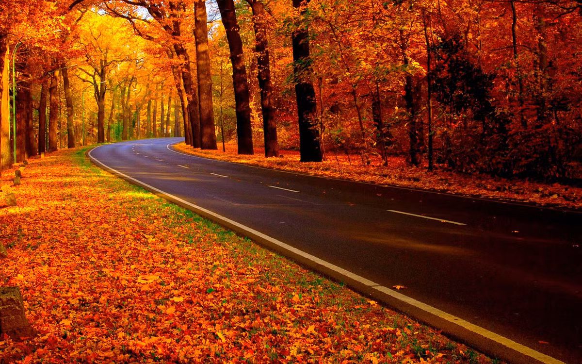 Thang 8 Am lich, 3 con giap dot pha thanh cong, nhe ganh ap luc