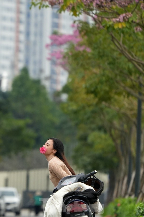 Một số bạn trẻ tranh thủ check-in vào thời điểm hoa đang nở rộ.