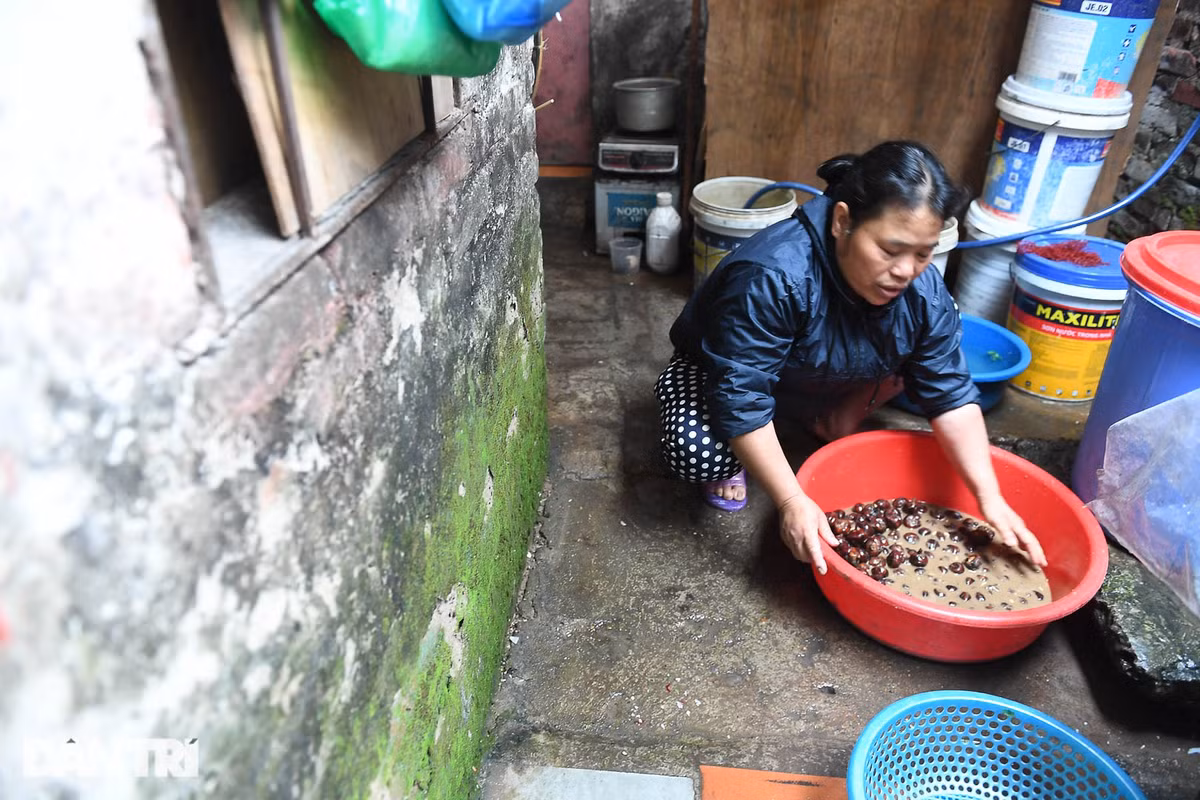 TPHCM nắng rát mặt, Hà Nội khốn khổ vì rét buốt - Hình 2 TPHCM nang rat mat, Ha Noi khon kho vi ret buot-Hinh-2