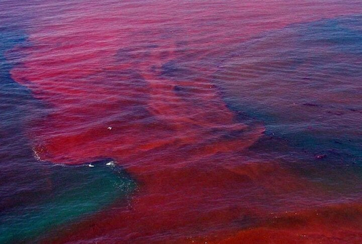 Hien tuong tao no hoa, loi hay hai?