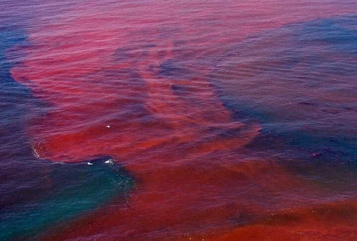 Hien tuong tao no hoa, loi hay hai?