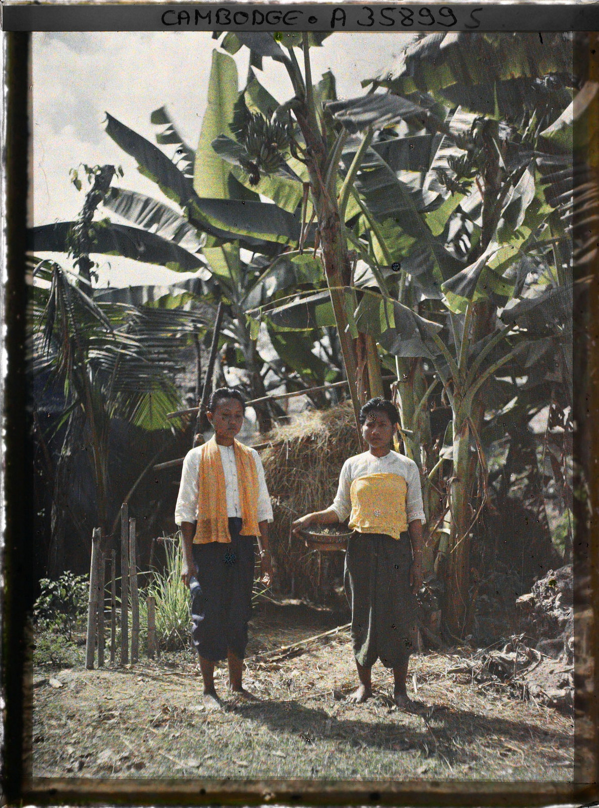 Hai cô thôn nữ ở vườn nhà.