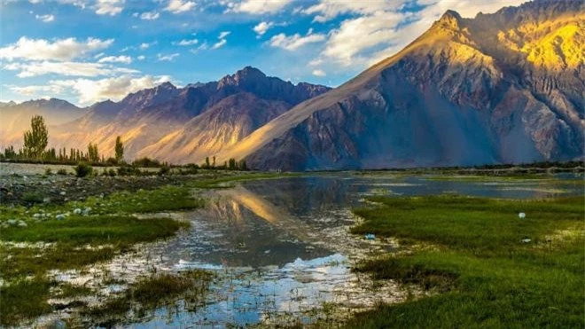 Hóa thạch rắn khổng lồ 35 triệu năm được khai quật với chiều dài gần 10m Hoa thach ran khong lo 35 trieu nam duoc khai quat voi chieu dai gan 10m