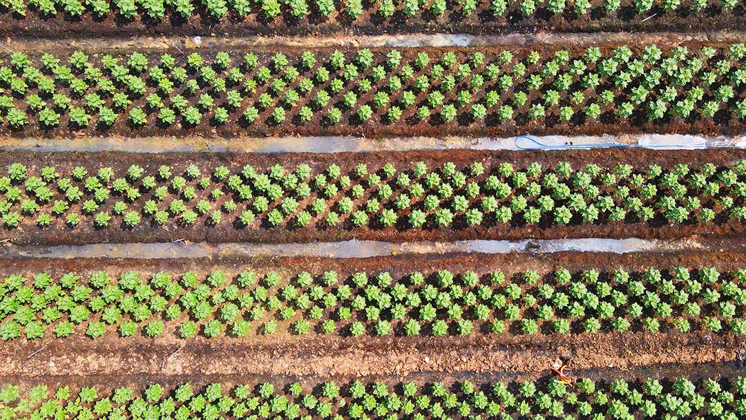 Can canh cong vien bo song Sai Gon sap dua vao hoat dong-Hinh-2