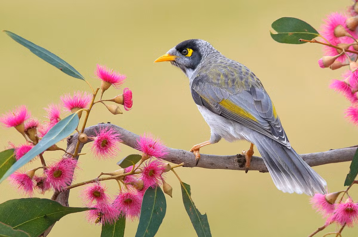 Quy co sinh ngay Am lich nay nhu ruoc Than Tai ve nha-Hinh-3