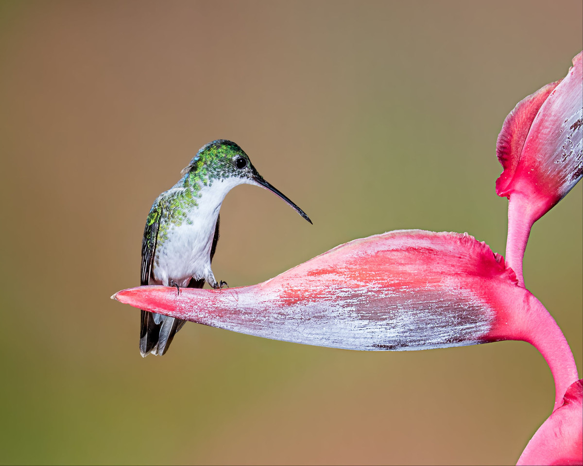 Quy co sinh ngay Am lich nay nhu ruoc Than Tai ve nha