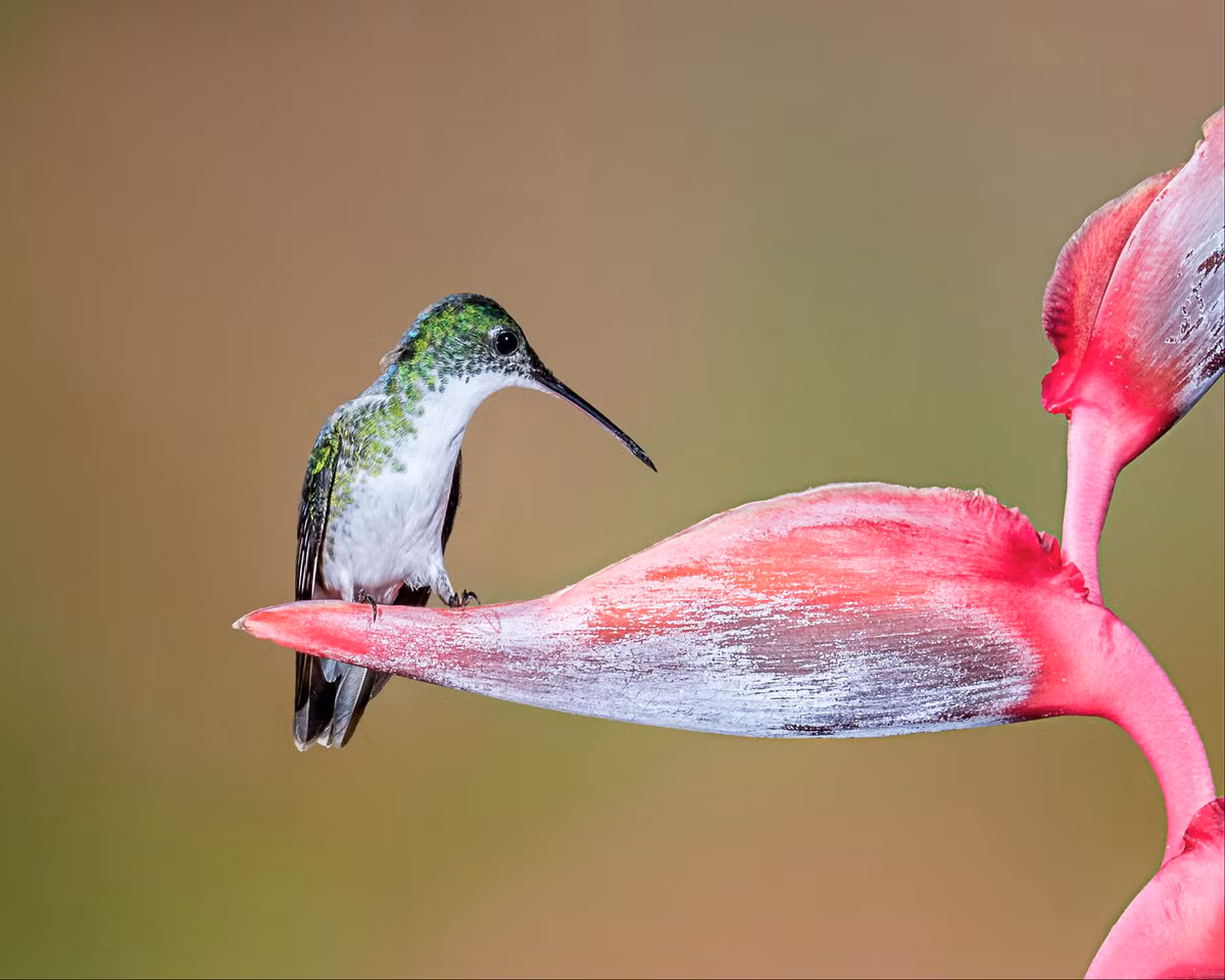 Quy co sinh ngay Am lich nay nhu ruoc Than Tai ve nha