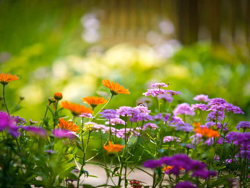 Bước vào xã hội, ban đầu, họ gặp không ít khó khăn. Nhưng về sau, người sinh ngày 13 và 18 Âm lịch tích lũy được những kinh nghiệm. Đến hậu vận, họ dần thành danh trong công việc, có cuộc sống dư dả, mang phước lành về cho gia đình. 