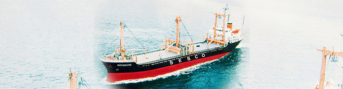 VIMC thoai von tai CTCP Hang hai Sai Gon va CTCP Van tai bien Hai Au-Hinh-2