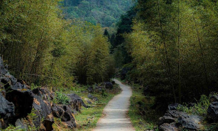 Tham “lang dia nguc” o Ha Giang-Hinh-4