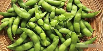 Ai không uống được sữa có thể thay bằng “7 loại rau” này - Hình 4 Ai khong uong duoc sua co the thay bang “7 loai rau” nay-Hinh-4