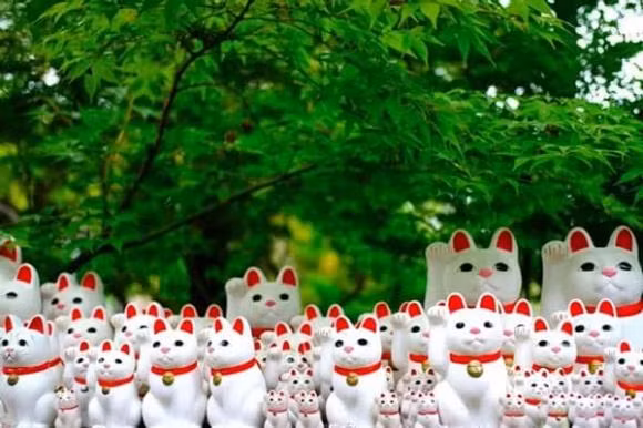 Meo Than Tai co y nghia gi trong van hoa cua nguoi Nhat Ban?