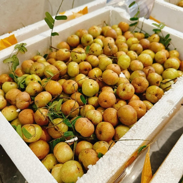 Mắc kham gây sốt ‘chợ mạng’, giá bán đắt gấp đôi - Hình 2 Mac kham gay sot ‘cho mang’, gia ban dat gap doi-Hinh-2