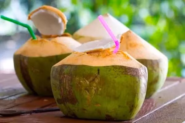 Su that chuyen uong nuoc dua giup loc sach phoi-Hinh-3