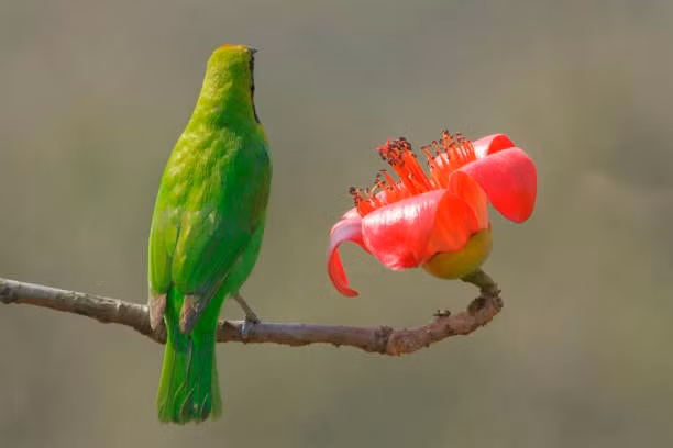 Ai sinh ngay Am lich nay huong phuoc loc, thuong Tet cao ngat-Hinh-2